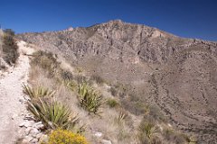 25_Guadalupe National Park_03